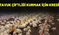 Tavuk Çiftliği Kurmak İçin Kredi